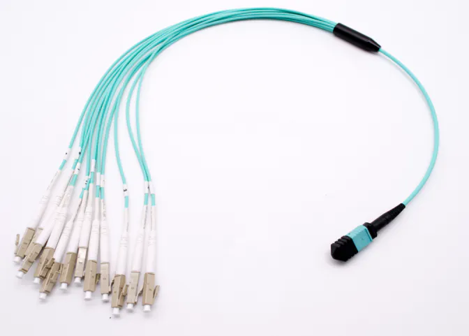 Fiber Hope trunk cable cost effective WANs