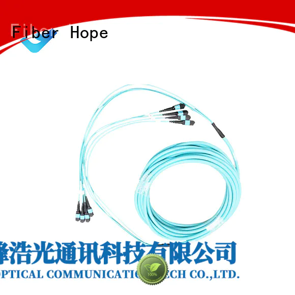 fiber patch cord cost effective WANs