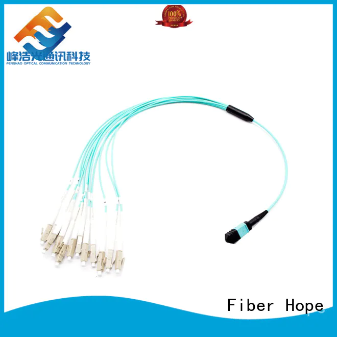 Fiber Hope fiber cassette WANs