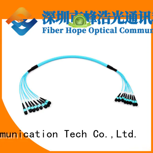 Fiber Hope mpo cable cost effective networks