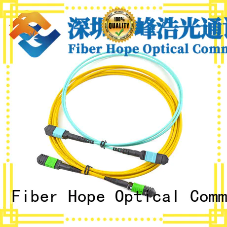 Fiber Hope mpo to lc cost effective LANs