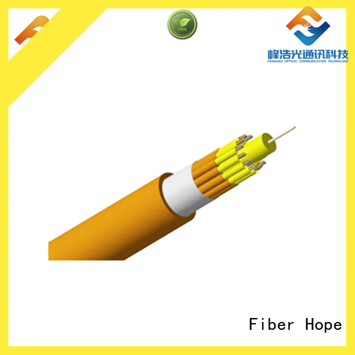 economical fiber optic cable switches