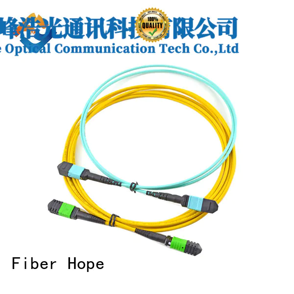 high performance fiber pigtail LANs