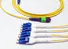 best price fiber patch cord popular with basic industry