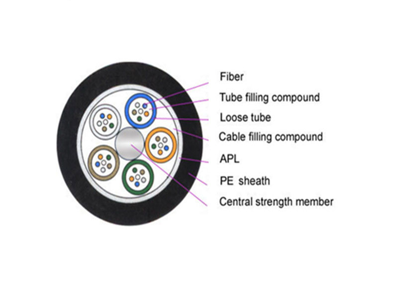 news-Fiber Hope-img