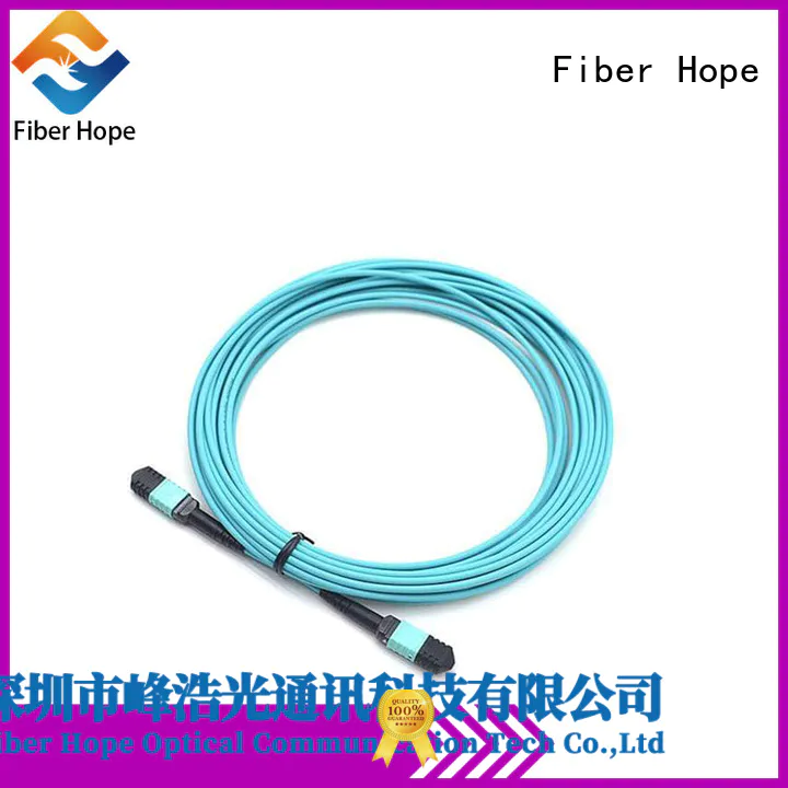 trunk cable popular with WANs